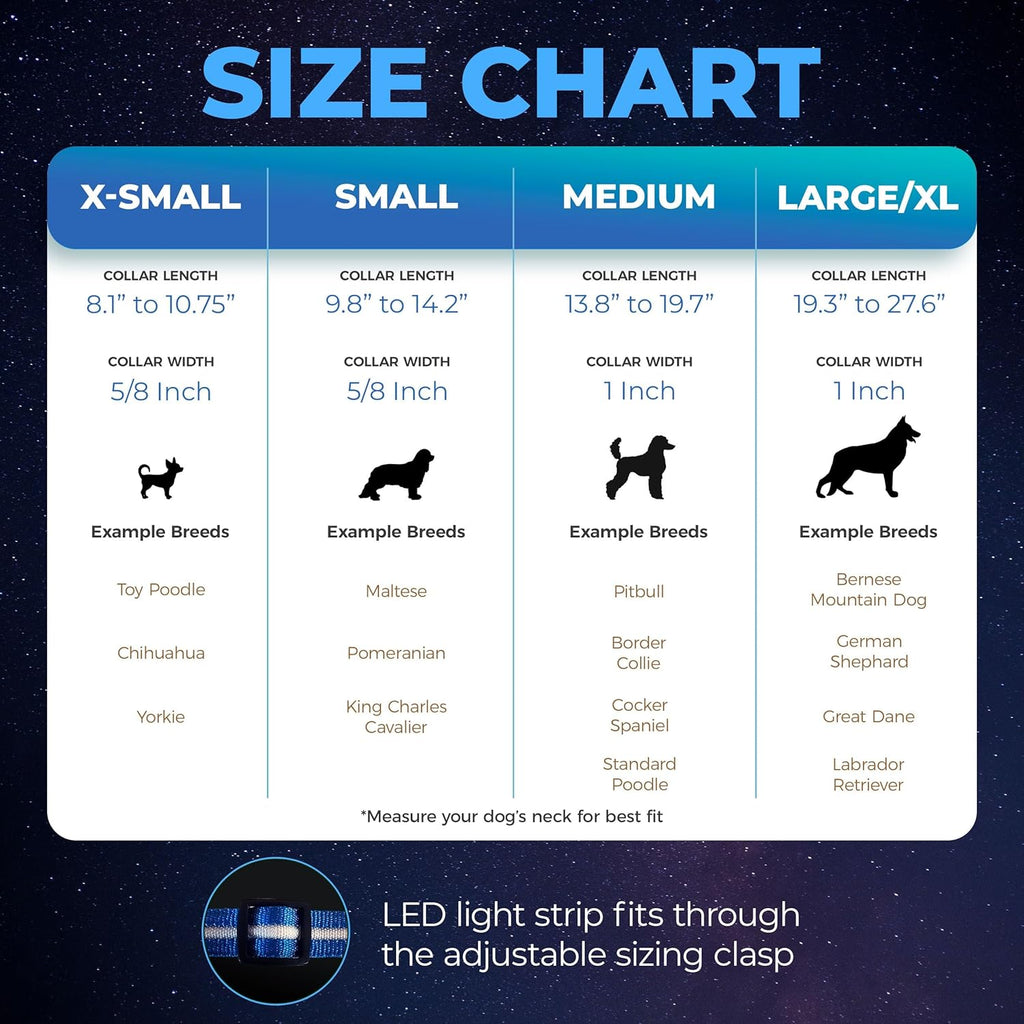 ' Safety LED Dog Collar – USB Rechargeable with Water Resistant Flashing Light