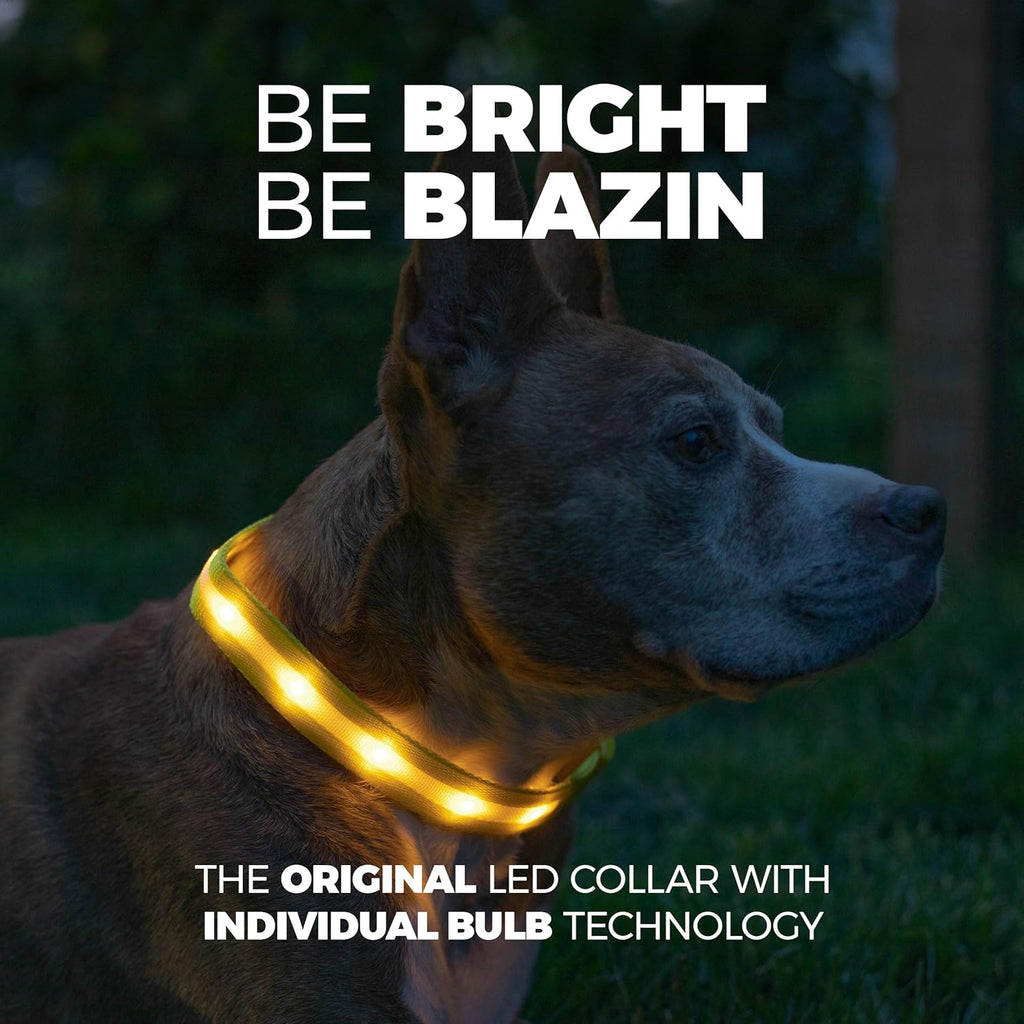 ' Safety LED Dog Collar – USB Rechargeable with Water Resistant Flashing Light